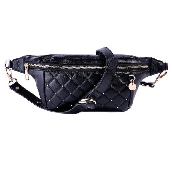 🎁Celine Dion Fastoso Belt Bag - Picture 3 of 12